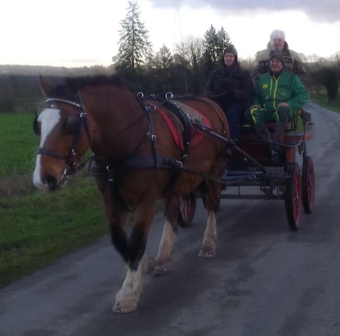 Gite : La Cochetiere : Ancienne Ferme 18Eme Villa Le Grais Eksteriør billede