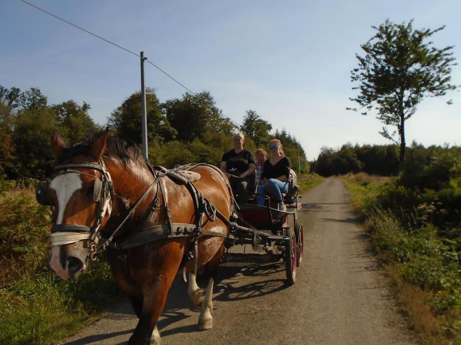 Gite : La Cochetiere : Ancienne Ferme 18Eme Villa Le Grais Eksteriør billede