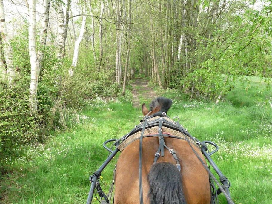 Gite : La Cochetiere : Ancienne Ferme 18Eme Villa Le Grais Eksteriør billede