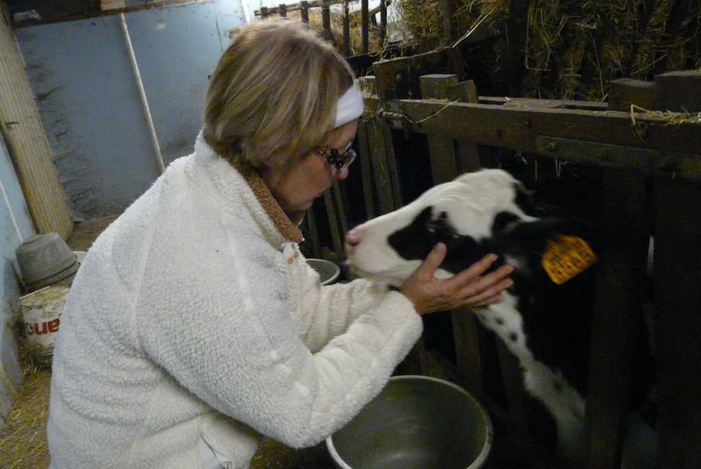 Gite : La Cochetiere : Ancienne Ferme 18Eme Villa Le Grais Eksteriør billede