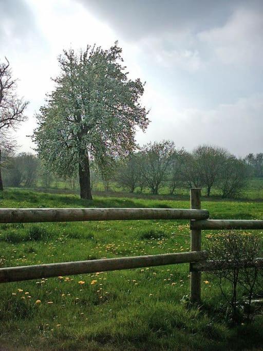 Gite : La Cochetiere : Ancienne Ferme 18Eme Villa Le Grais Eksteriør billede